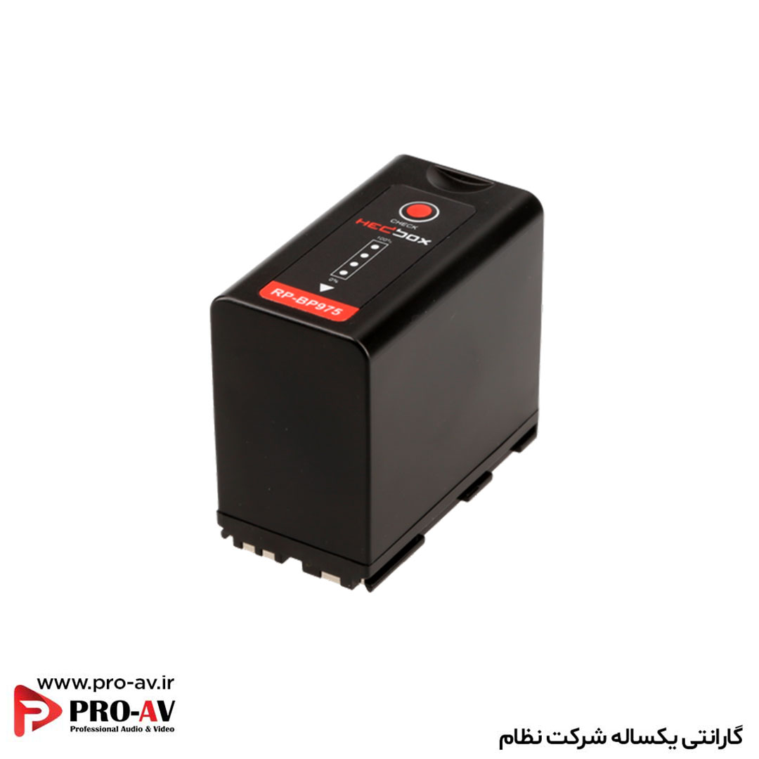 باتری حرفهای RP-BP975